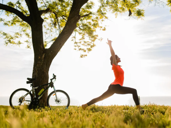 zasad działania i życia