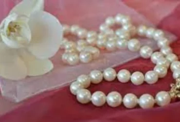 ponadczasowej elegancji