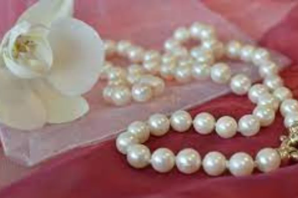 ponadczasowej elegancji